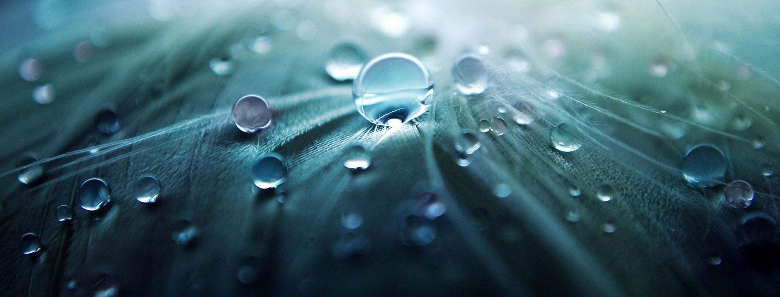 Water_droplets_S_2624