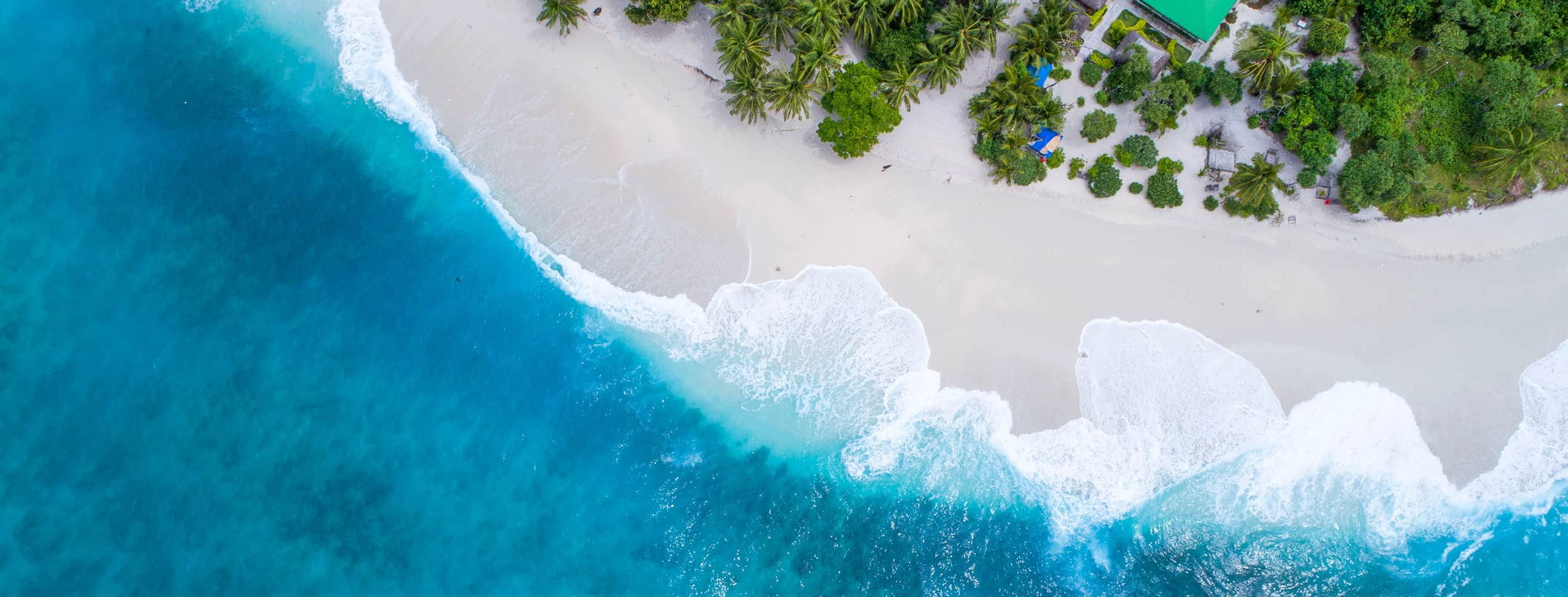 shoreline with beach and trees