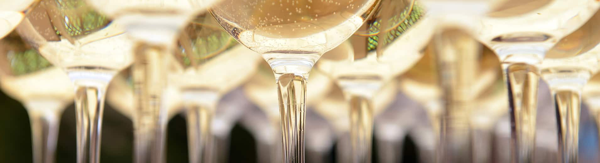 Champagne_Glasses_E_0182