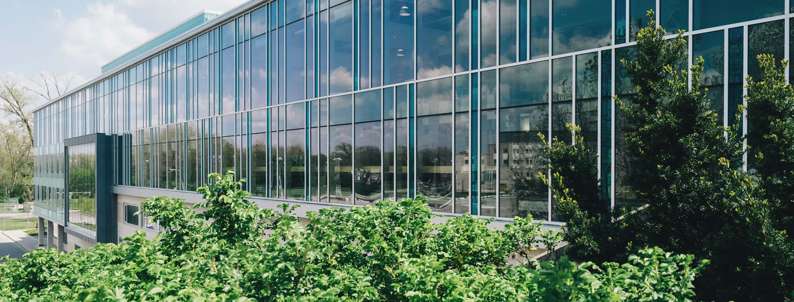 Glass building near trees