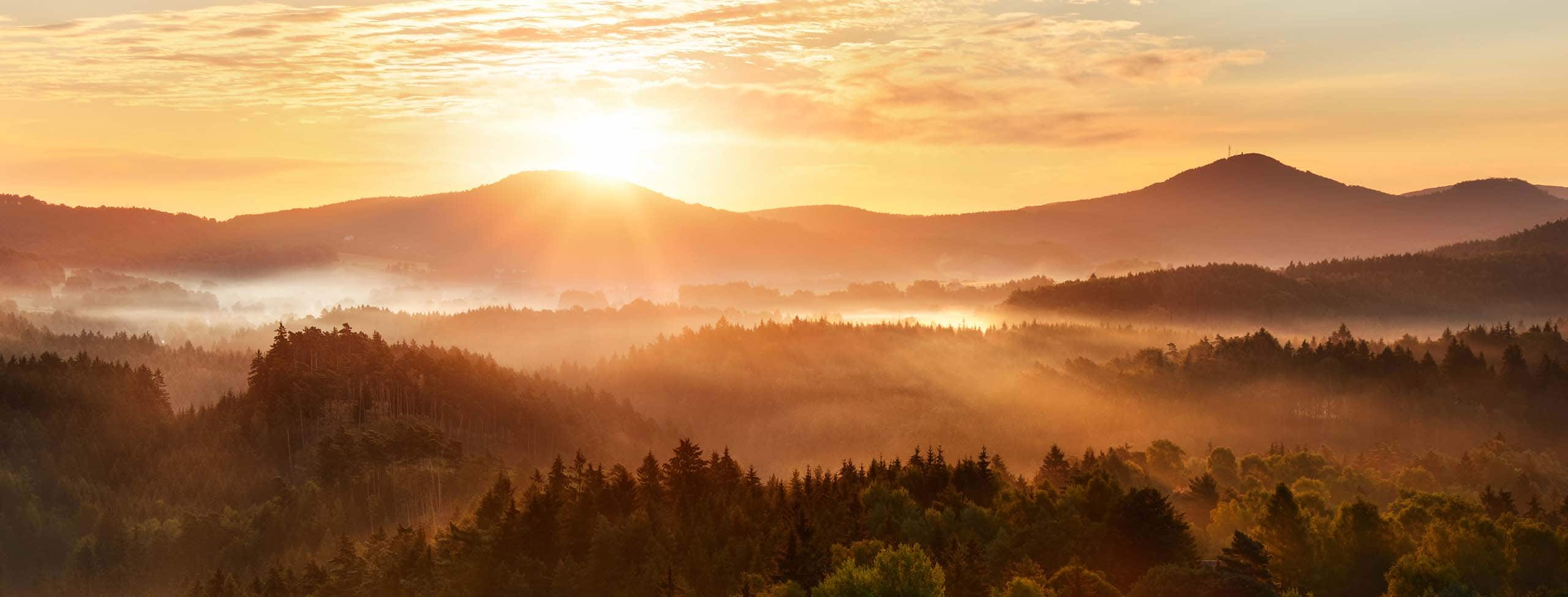 Horizon - Swiss forest at sunset